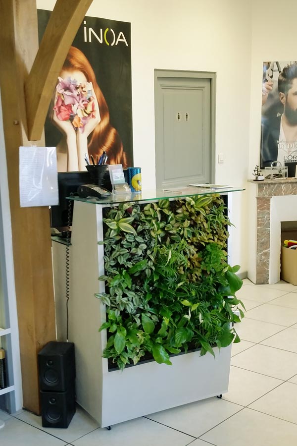 Meuble végétal chez un coiffeur